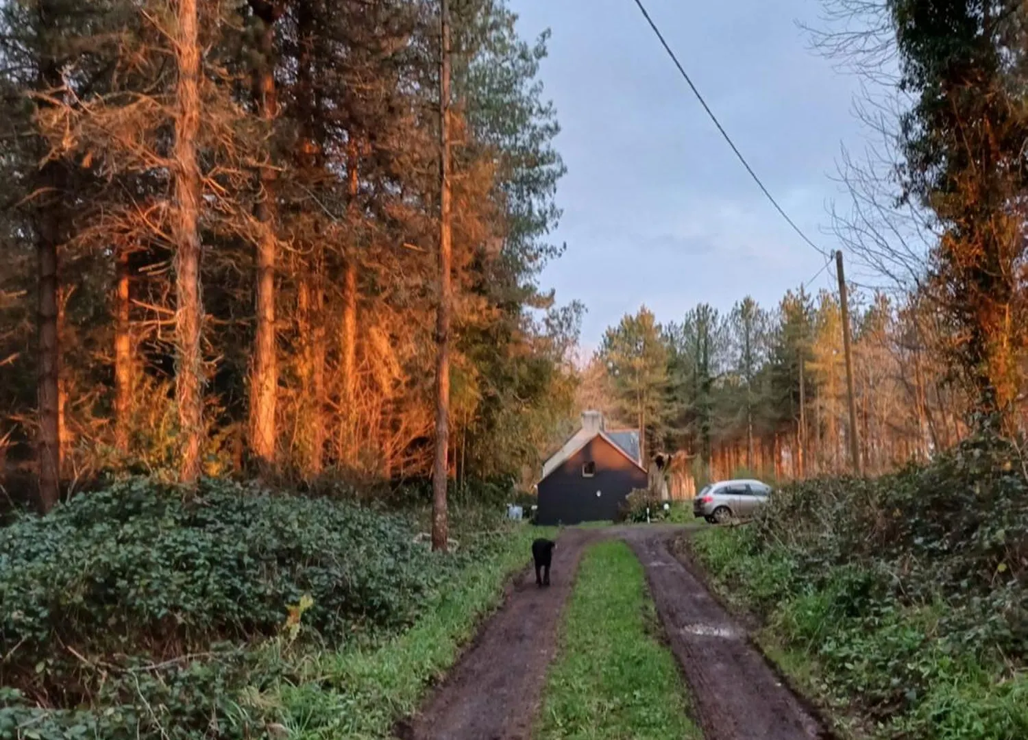 La Maison Au Coeur De La Foret Rosporden