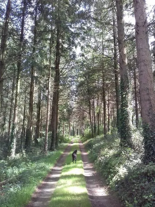 La Maison Au Coeur De La Foret Rosporden